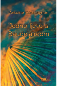 Jedno ljeto s Baudelaireom - naslovnica