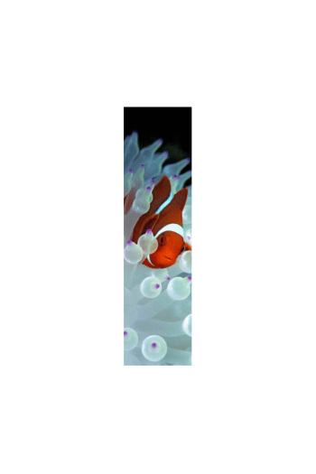 Nemo Bookmark - slika proizvoda