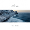 A-Ha - True North LP - omot