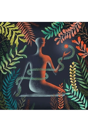 Loma - DonT Shy Away LP - omot