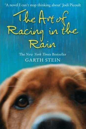 The Art of Racing in the Rain - naslovnica