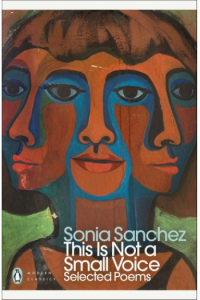 This Is Not a Small Voice