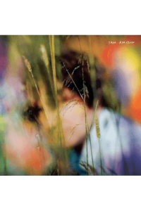 Sam Amidon (Rainbow)