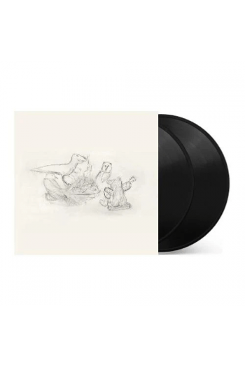 Big Thief - Dragon New Warm Mountain I Believe In You LP - omot