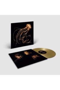 Royal Blood - Back To The Water Below (Gold vinyl) LP - omot