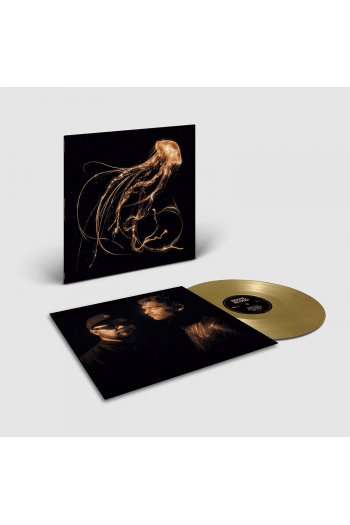 Royal Blood - Back To The Water Below (Gold vinyl) LP - omot