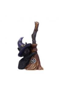 Nemesis Now Familiars Broom 11,5cm