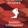 Anđeo nestajanja - naslovnica