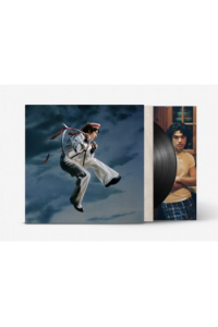 Conan Gray - Wishbone (Black Cat Edition) LP - omot