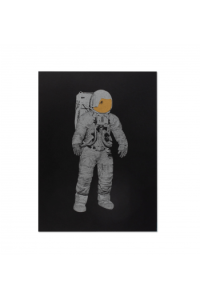 Riso-Artprint - Space - Astronaut - slika proizvoda