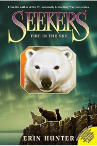 Seekers #5: Fire In The Sky - naslovnica