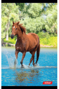 Bilježnica A4 kocka Target Animal