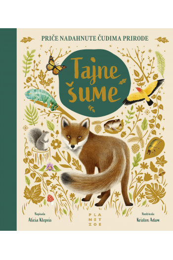 Tajne šume (Slikovnica) - naslovnica