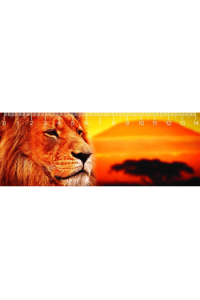 KILIMANJARO LION DEEP