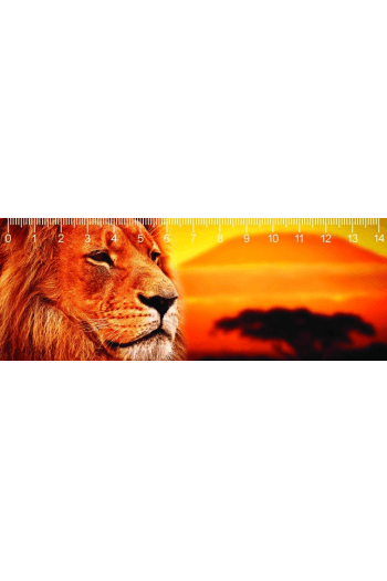 KILIMANJARO LION DEEP - slika proizvoda