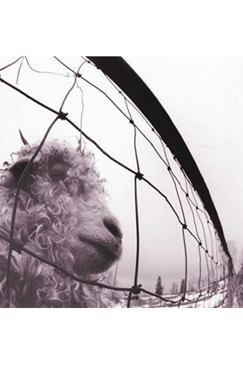 Pearl Jam – VS. (180g legacy vinyl) (LP) glazbeno izdanje