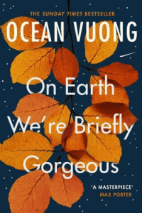 On Earth We're Briefly Gorgeous - naslovnica