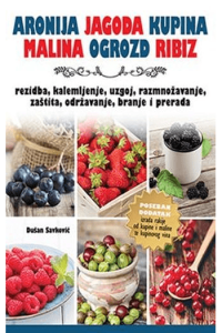 Aronija, jagoda,kupina