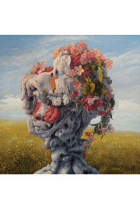 Wilderun - Veil of Imagination LP - omot