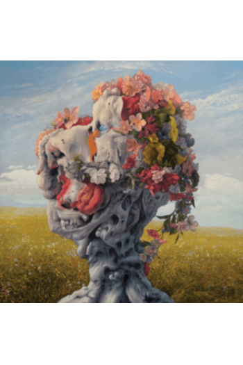 Wilderun - Veil of Imagination LP - omot