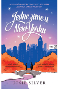 Jedne zime u New Yorku - naslovnica