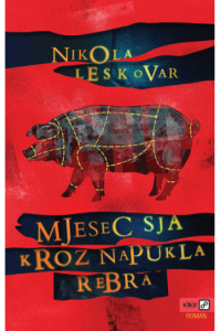 Mjesec sja kroz napukla rebra - naslovnica