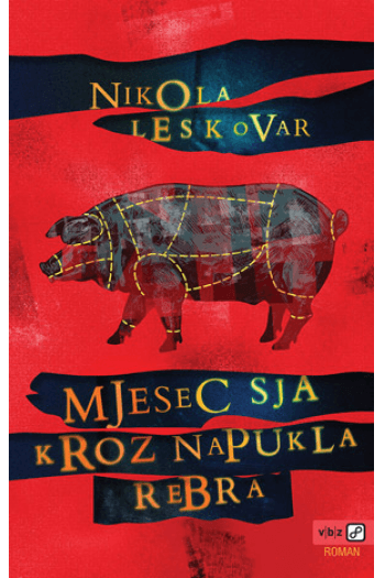 Mjesec sja kroz napukla rebra - naslovnica