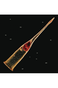 Leprous - Melodies Of Atonement CD - omot