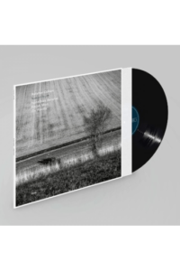 Avishai Cohen, Yonathan Avishai, Barak  Mori - Naked Truth LP - omot