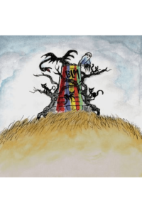 Drive By Truckers - New Ok CD - omot