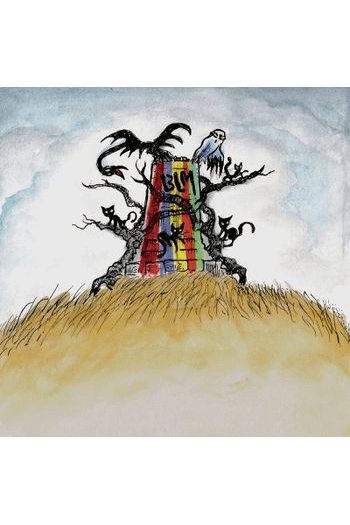 Drive By Truckers - New Ok CD - omot