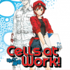 Cells At Work! Omnibus, Volume 1 (Manga) - naslovnica
