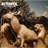 Interpol - Our Love To Admire LP - omot