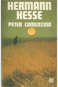 Peter Camenzind - naslovnica