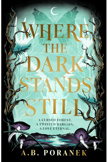 Where the Dark Stands Still - naslovnica