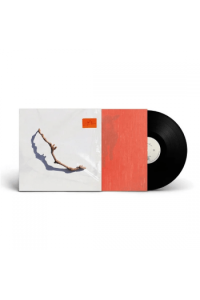 P.J. Harvey - I Inside The Old Year Dying LP LP - omot