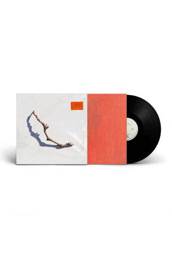 P.J. Harvey - I Inside The Old Year Dying LP LP - omot