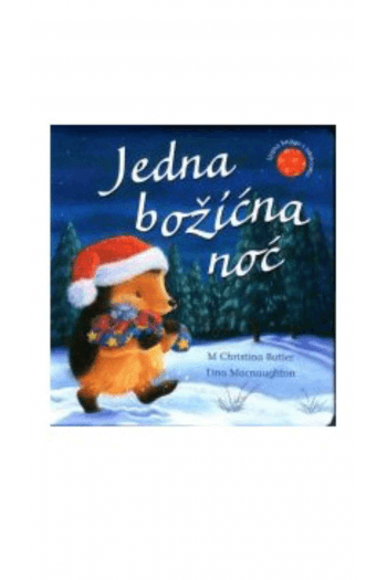 Jedna Božićna noć (Slikovnica) - naslovnica