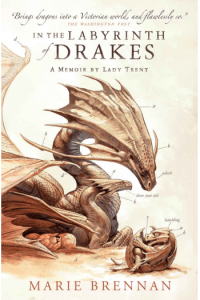 In The Labyrinth Of Drakes - naslovnica