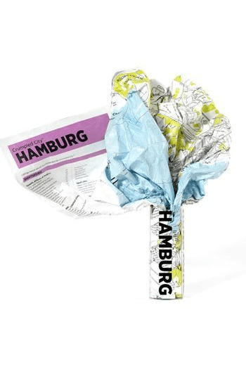 Hamburg Crumpled City Map - naslovnica