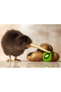 Kiwi & Kiwi 3D Razglednica