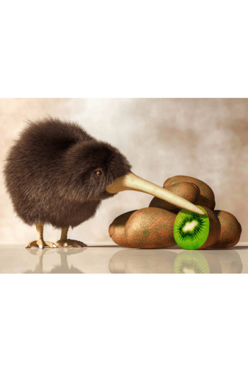 Kiwi & Kiwi 3D Razglednica - slika proizvoda