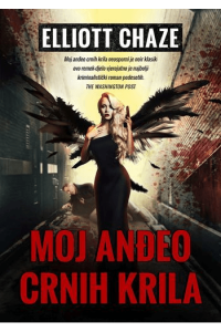 Moj anđeo crnih krila