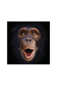 Chimp Selfie Big Card 3D