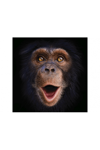 Chimp Selfie Big Card 3D - slika proizvoda