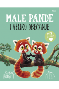 Male pande i veliko obećanje (Slikovnica) - naslovnica