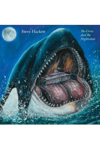 Steve Hackett