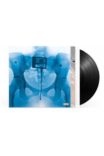 Lorde - Virgin LP - omot