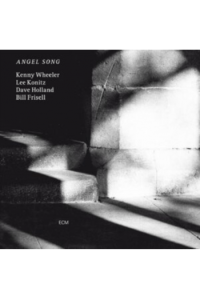 Various Artists - Angel Song: Luminessence Series LP - omot