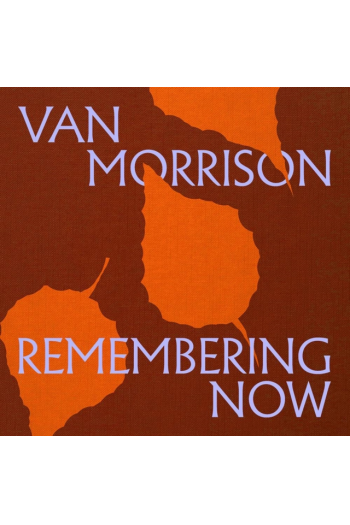 Van Morrison - Remembering Now LP - omot
